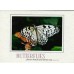 Butterflies Premium Note Card